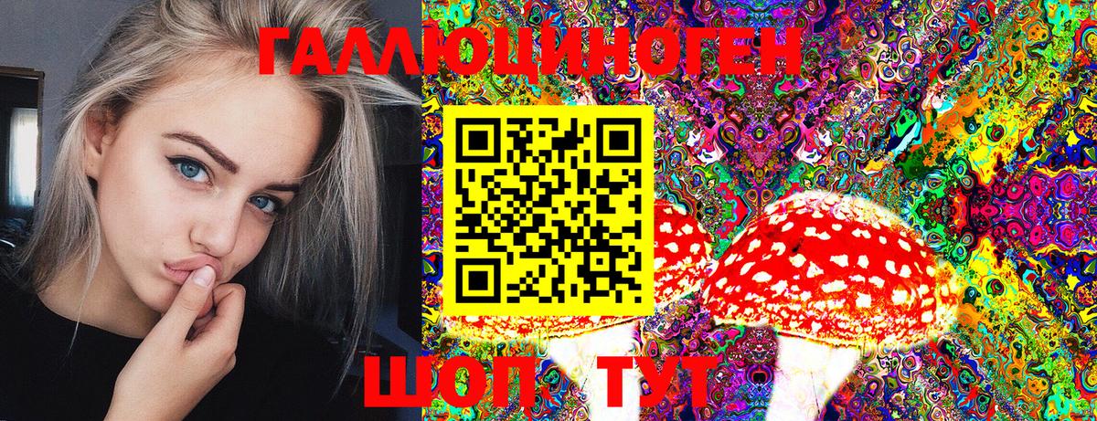 Псилоцибиновые грибы Psilocybe Тара