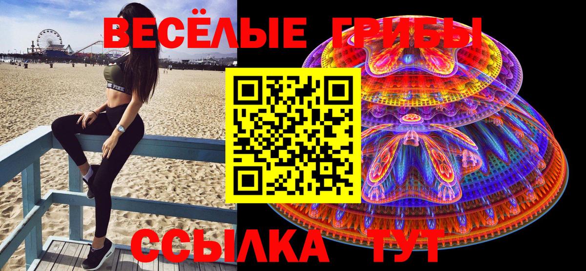 Тара  Псилоцибиновые грибы Psilocybine cubensis  Вход с VPN  Галлюциногенные грибы GOLDEN TEACHER 